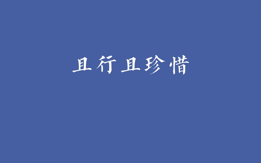 2014年热词励志文字图片壁纸下载