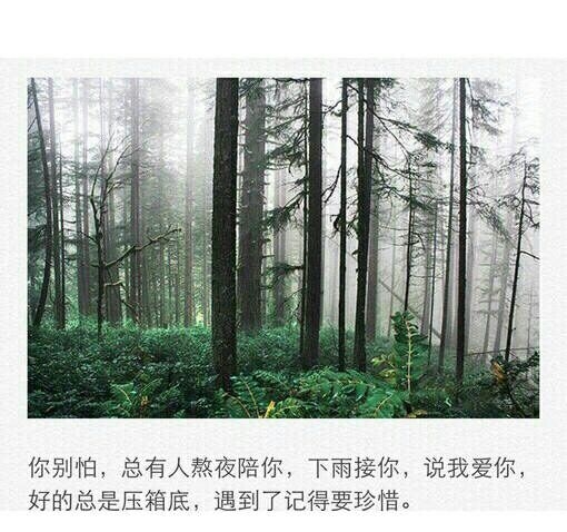 风继续吹 有心的人一追再追