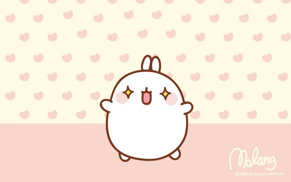 MOLANG 韩国远道而来的可爱的兔子