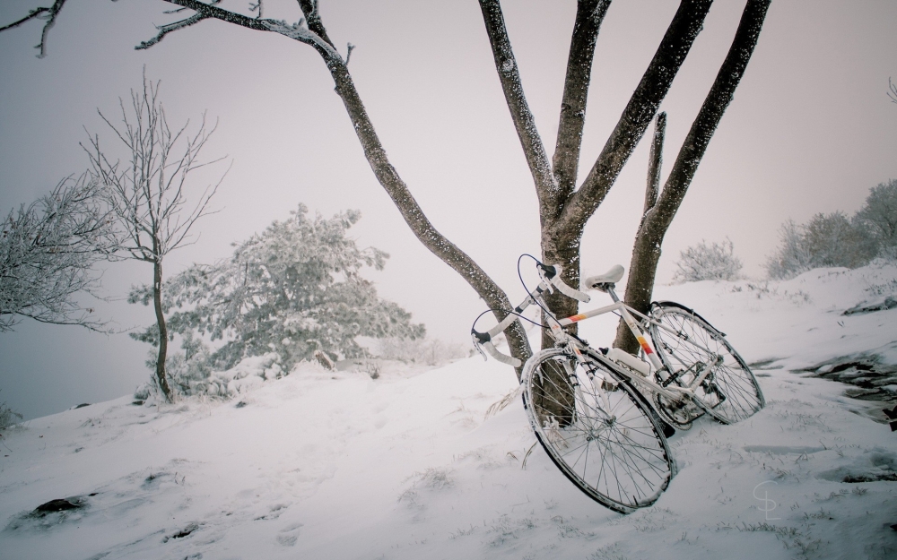 雪天公路自行车壁纸