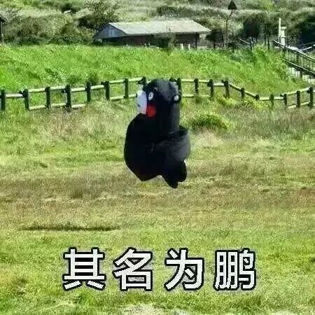 逍遥游