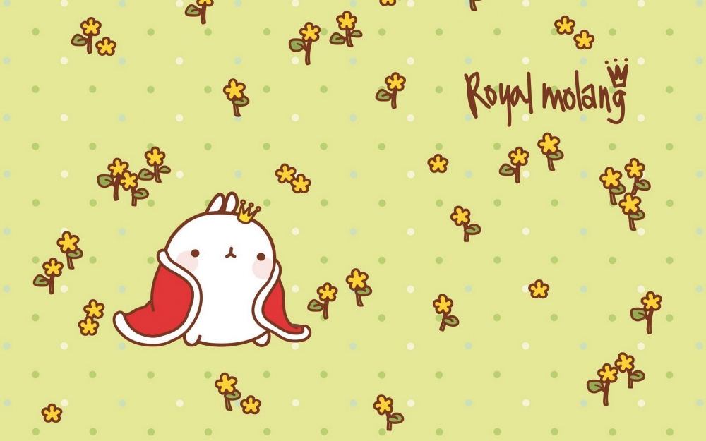 MOLANG 韩国远道而来的可爱的兔子