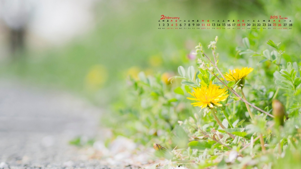 2017年2月治愈系风景日历壁纸