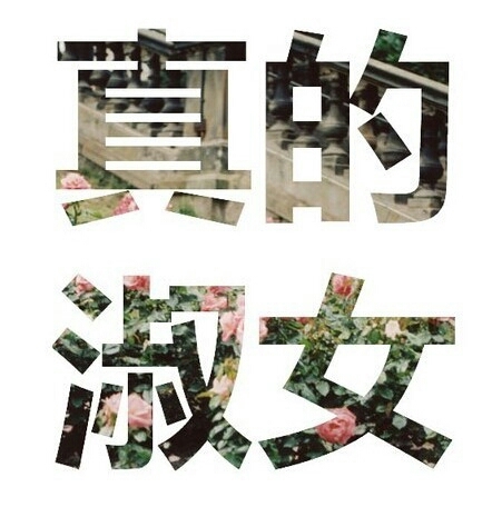 纯文字，送花花