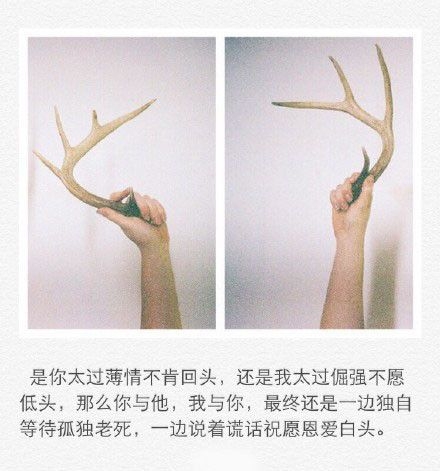 漓沫：回不去了。