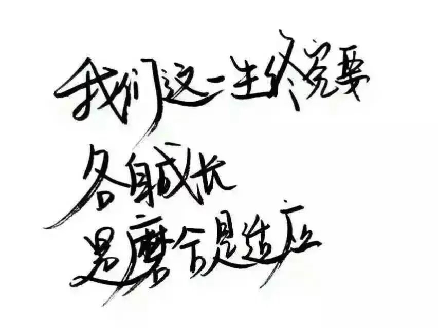 做你想做的，错了算我的