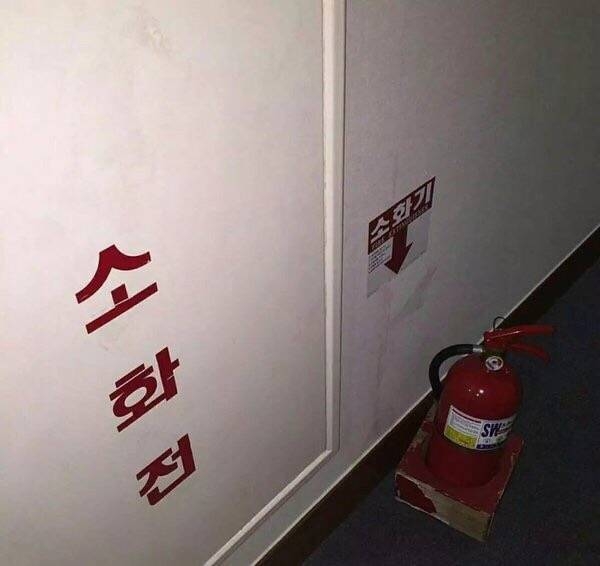 你不必张扬  是花自然香
