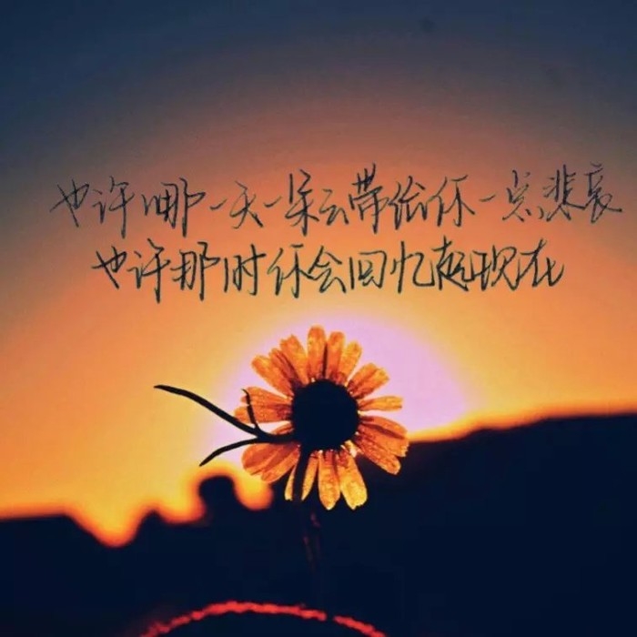总是固执的一往无前 活的真实而热烈