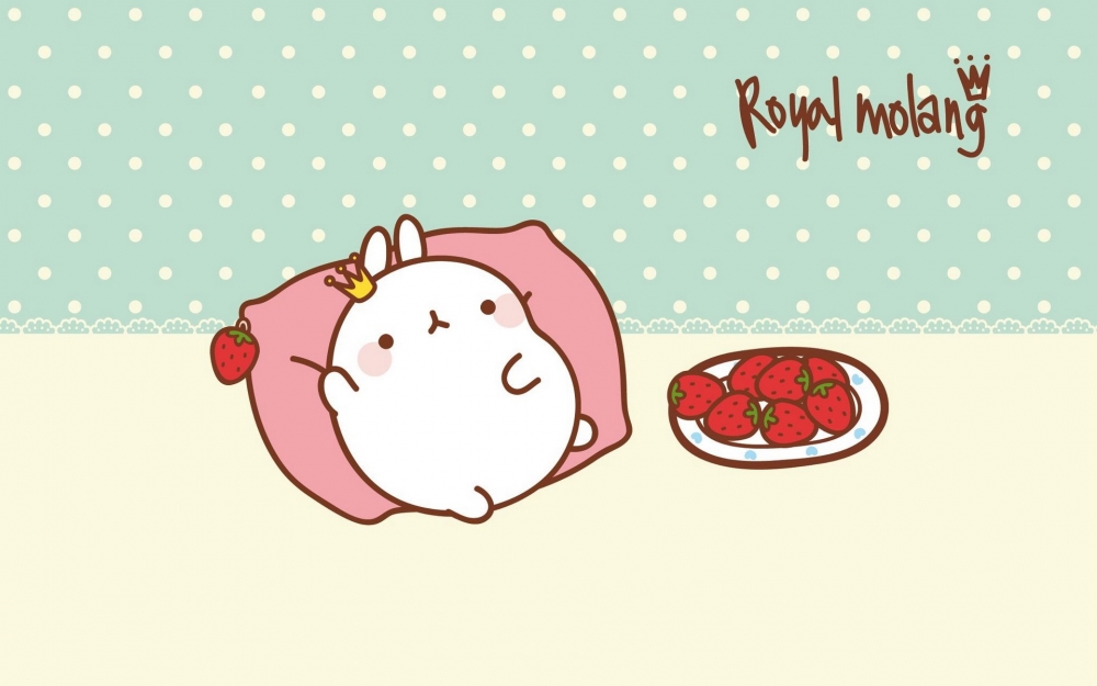 MOLANG 韩国远道而来的可爱的兔子