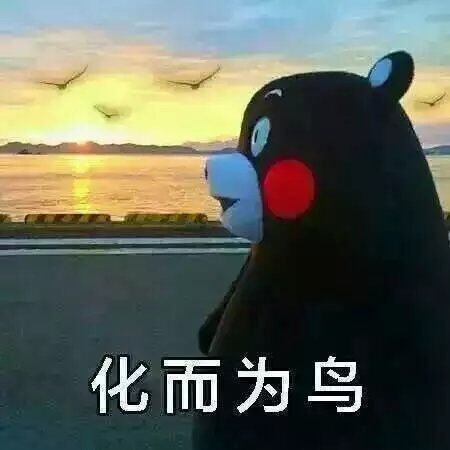 逍遥游