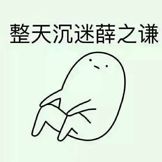 送给薛之谦的小仙女们