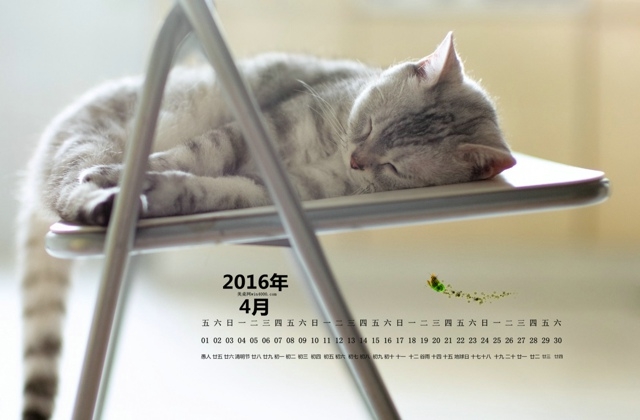 清新4月日历电脑桌面壁纸