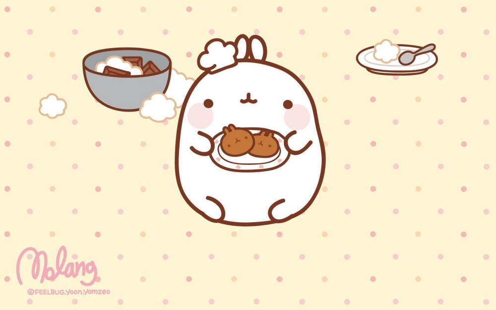 MOLANG 韩国远道而来的可爱的兔子