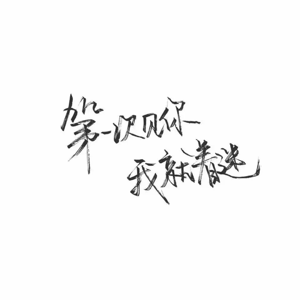 做你想做的，错了算我的