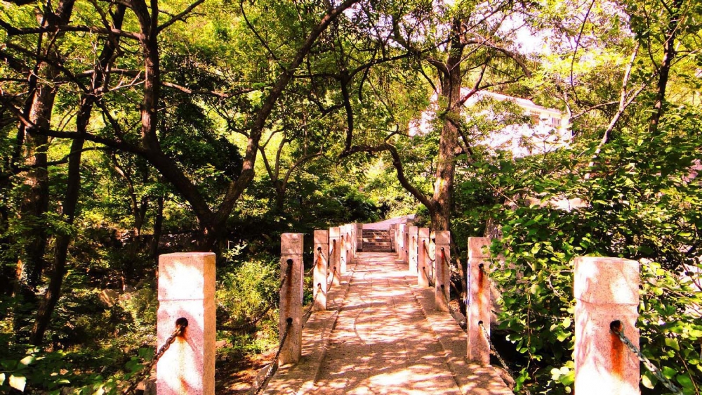 崂山上清宫景观