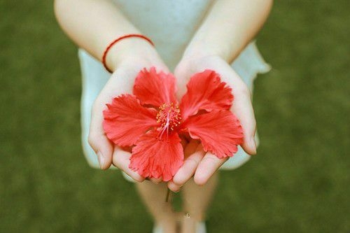 花期荼蘼，也抵不住荏苒时光 小清新图片