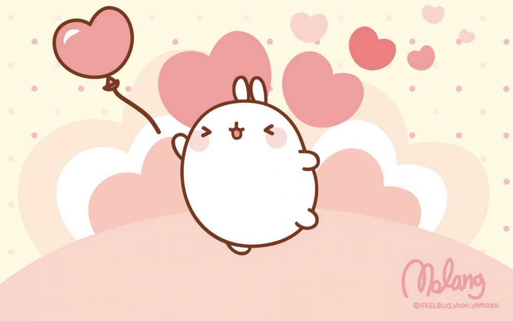 MOLANG 韩国远道而来的可爱的兔子