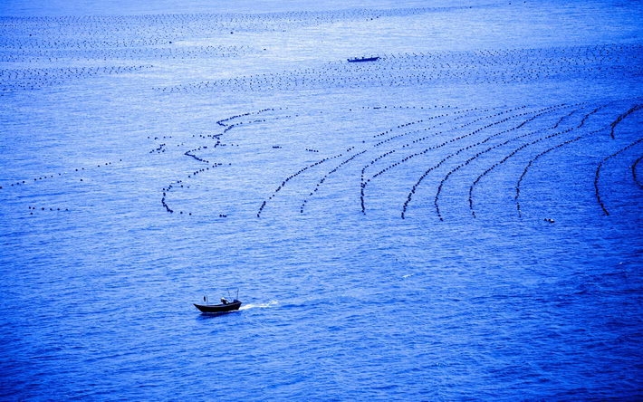 广西涠洲岛海滨晨曦风景壁纸