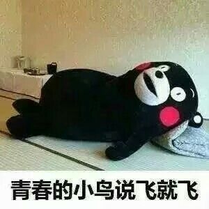 ovo一系列