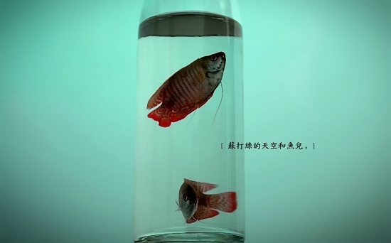 天空都是雨   微信背景图片