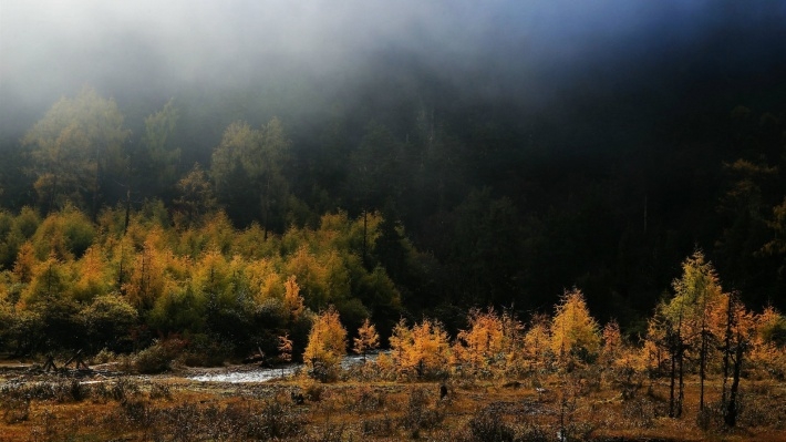 四川毕棚沟冬季风景桌面壁纸