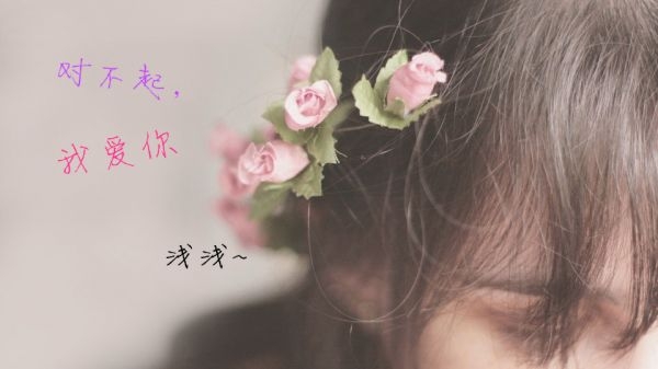 清新❤清新
