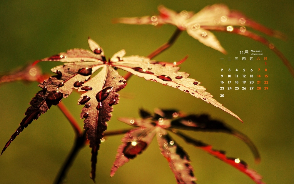 2015年11月日历壁纸精选秋天唯美风景图片下载1