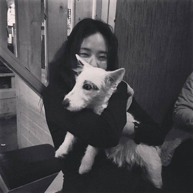 korea girl 朴贵英