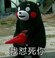 着迷熊本熊.
