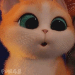 萌猫转眼睛