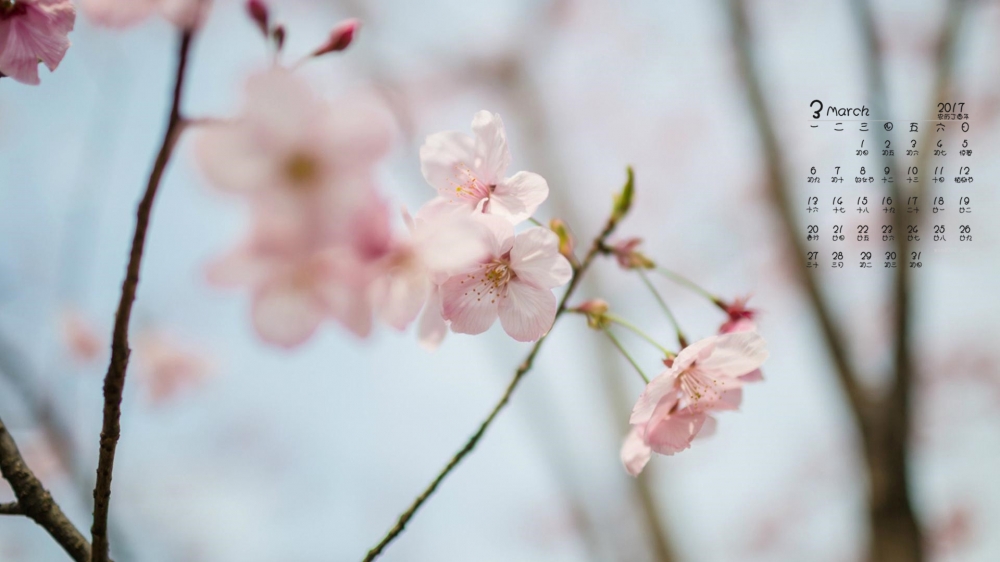 2017年3月春天唯美盛开的花高清桌面日历壁纸