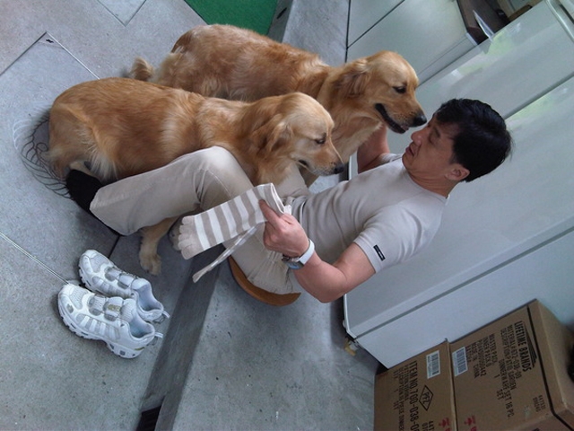 成龙与两条爱犬的日常生活照