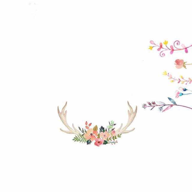 姑娘/我很可爱你的最爱