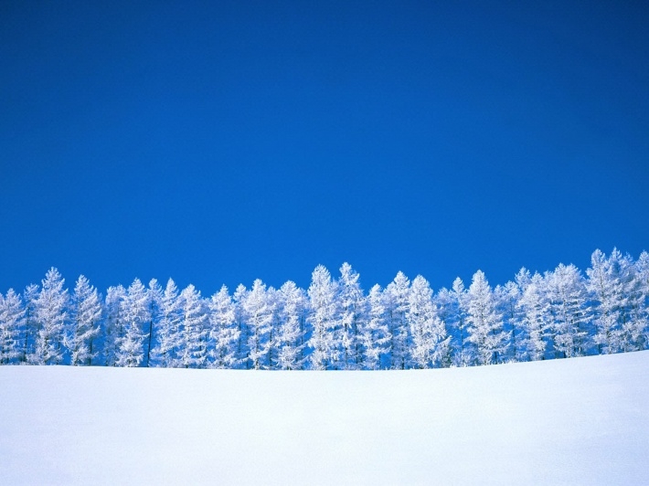 冬季唯美雪景高清壁纸大全