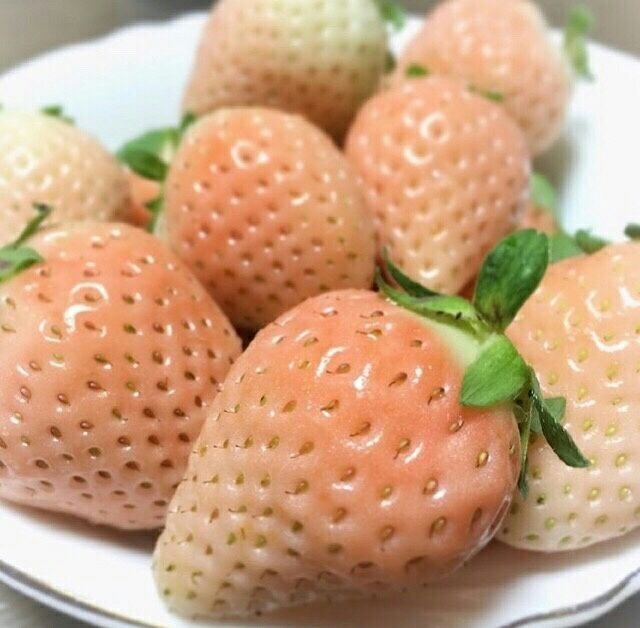 拥有草莓届最高颜值の草莓