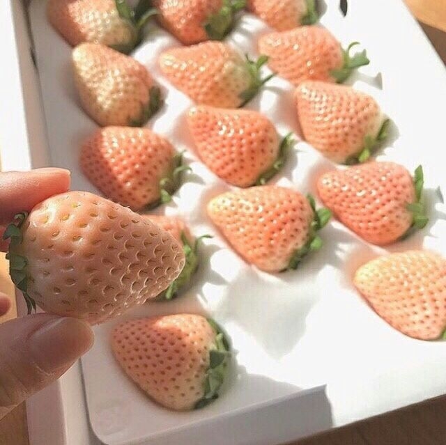 拥有草莓届最高颜值の草莓