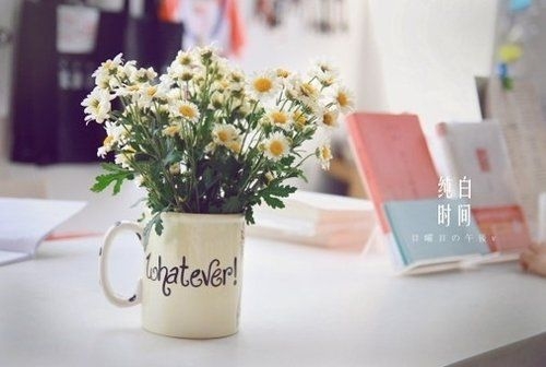 清新❤清新