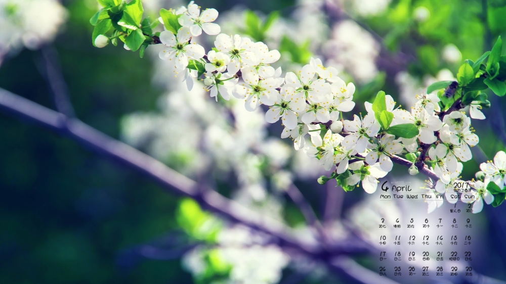 2017年4月自然植物风景日历壁纸