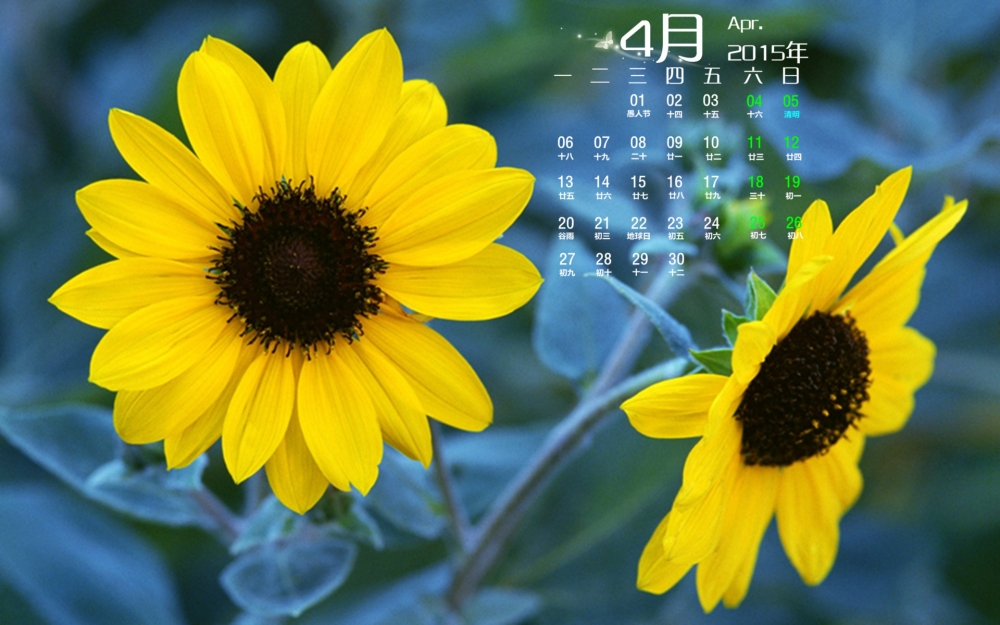 2015年4月唯美花卉日历