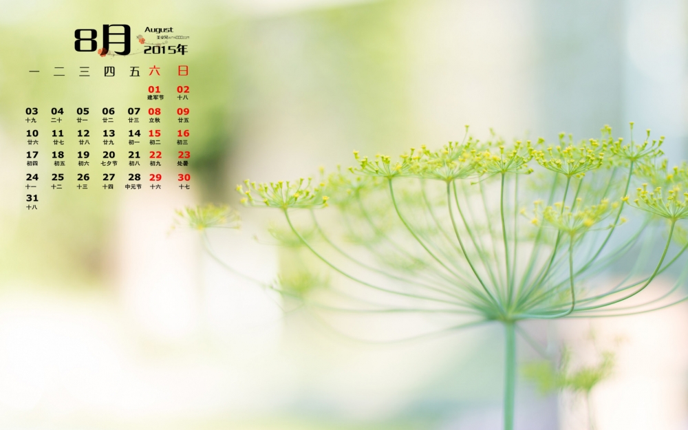 2015年8月日历精选绿色植物护眼壁纸下载