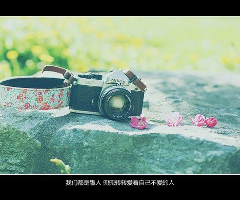 每一个人都无可替代 因为我们是世上的唯一存在 文字美