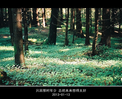 学会好好爱一个人，简简单单就好