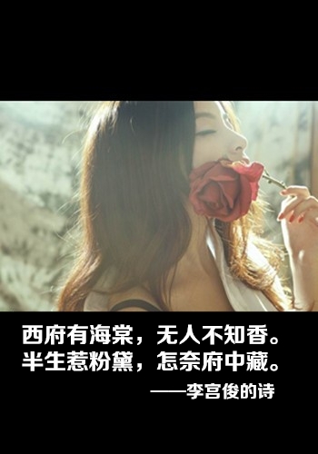 因为喜欢，所以开始 文字控图片 李宫俊的诗词