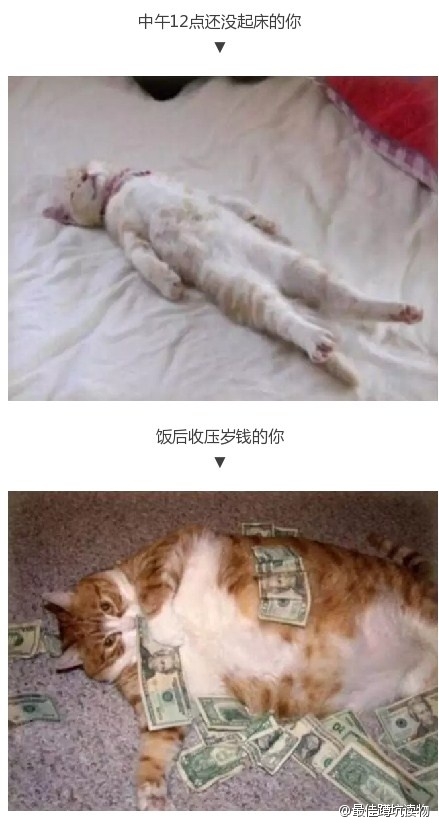 据说这是春节假期你在家的样子 ​​​​
