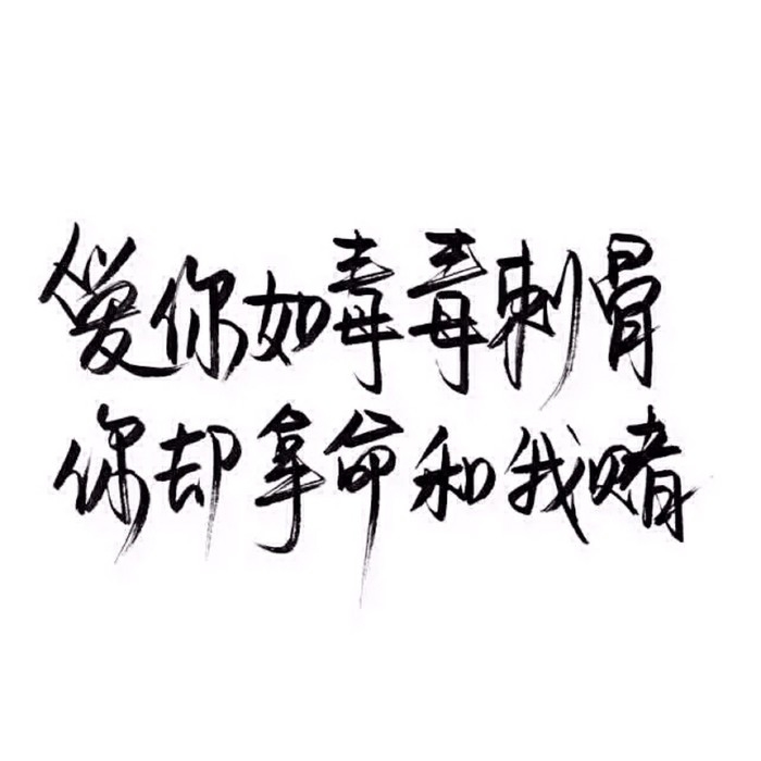 鱼哲是黎珀宸的身下受