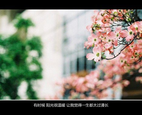 每一个人都无可替代 因为我们是世上的唯一存在 文字美