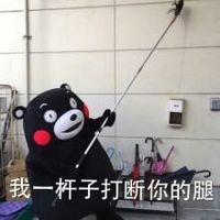 着迷熊本熊.
