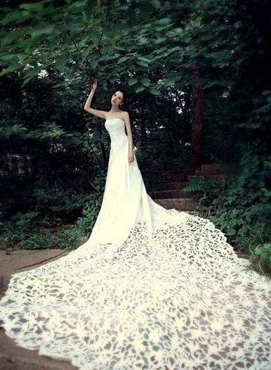 美美婚纱梦.