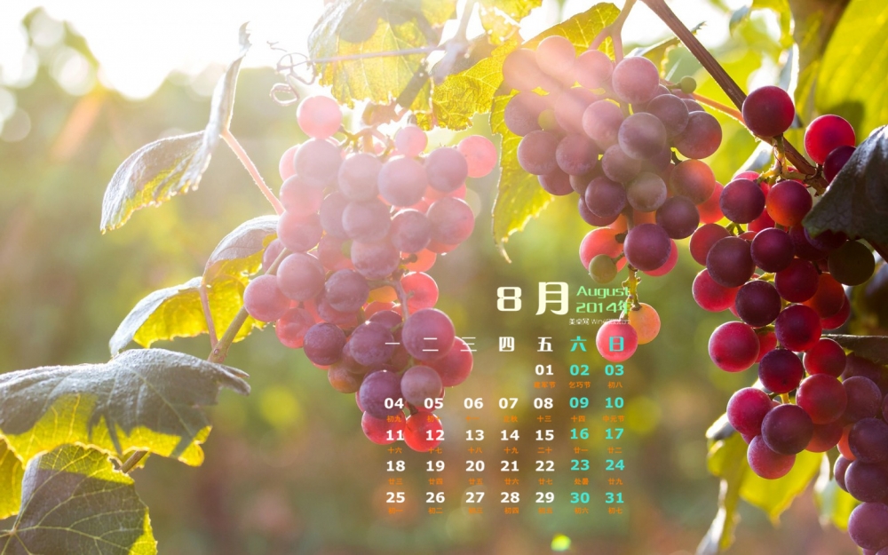 2014年8月日历清新甜蜜的水果高清电脑壁纸