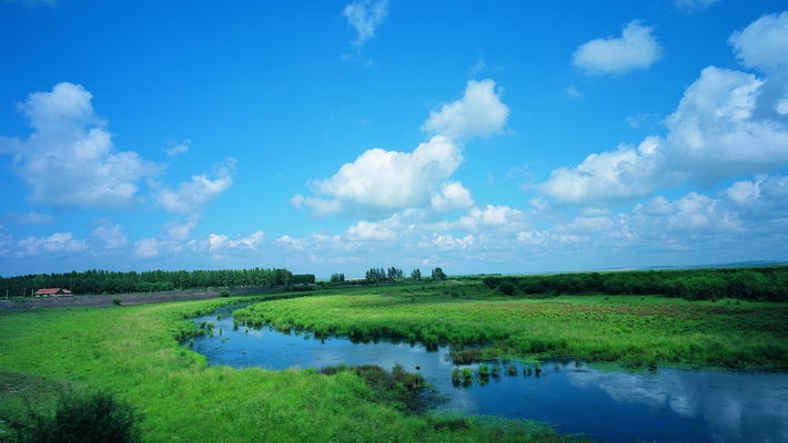 碧绿草原风光桌面高清壁纸